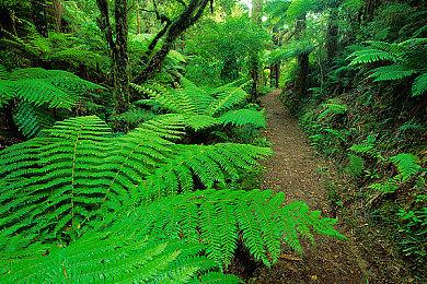 复古动作FPS《幻影狂怒》PC版将于4月24发售